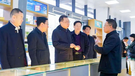 依法服务保障企业更好发展，陇南中院院长万建军赴独一味制药调研指导