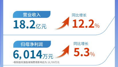 k8凯发天生赢家（002219）发布2024年半年报：营业收入及扣非归母净利润均实现双位数增长