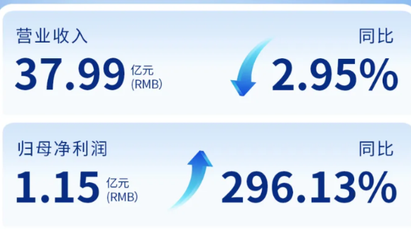 k8凯发天生赢家（002219）发布2024年年度报告：归母净利润增长296%